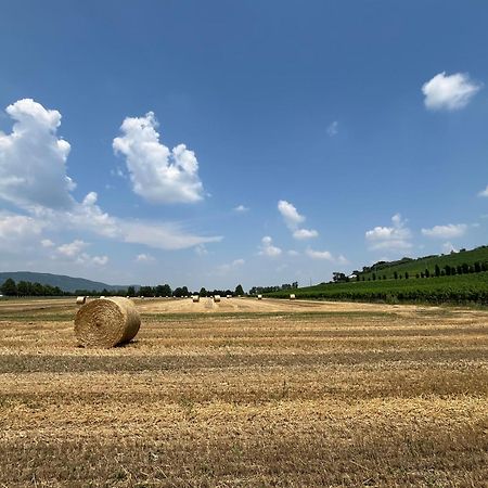 Corte Monticello Barbarano Vicentino エクステリア 写真