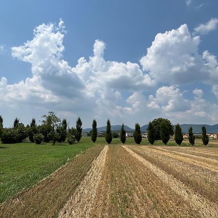 Corte Monticello Barbarano Vicentino エクステリア 写真