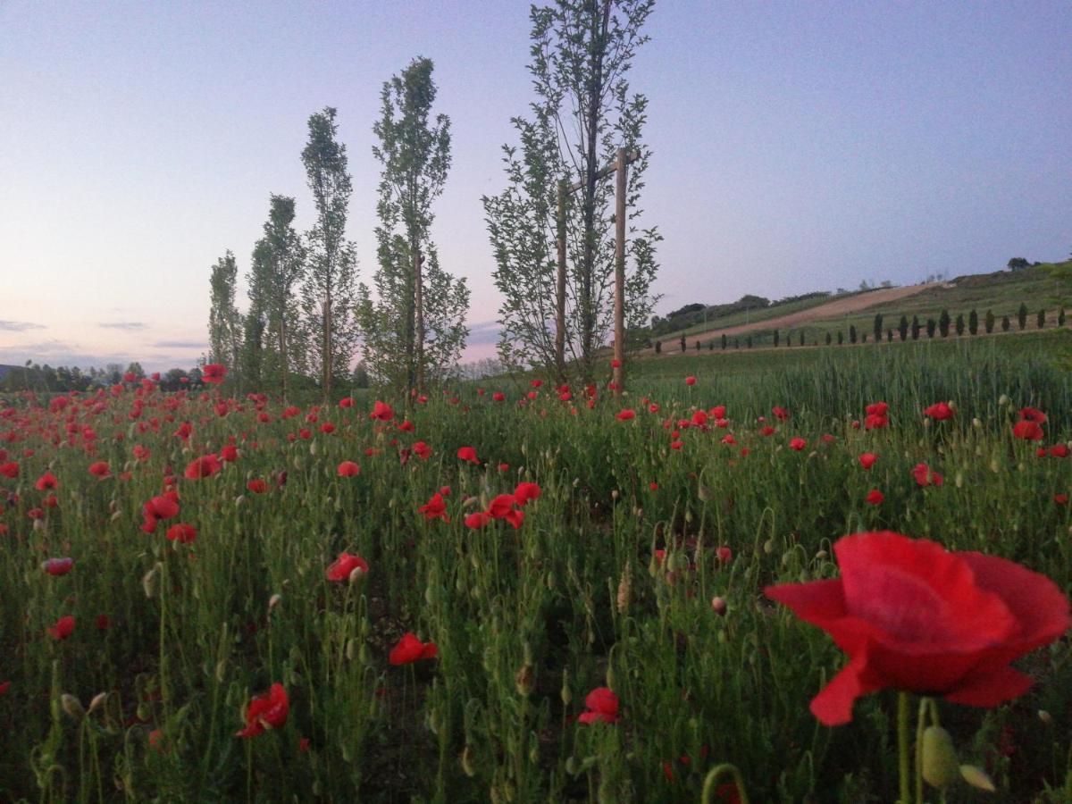 Corte Monticello Barbarano Vicentino エクステリア 写真