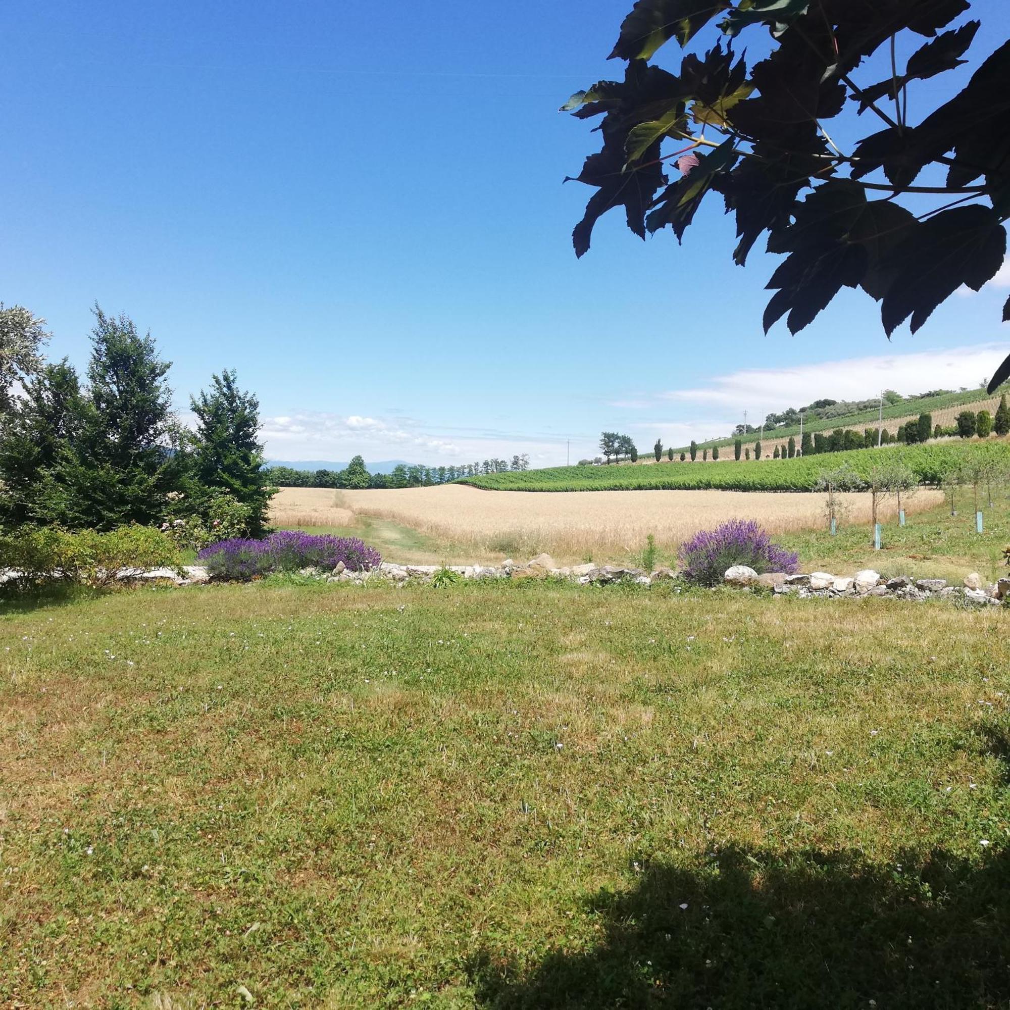 Corte Monticello Barbarano Vicentino エクステリア 写真