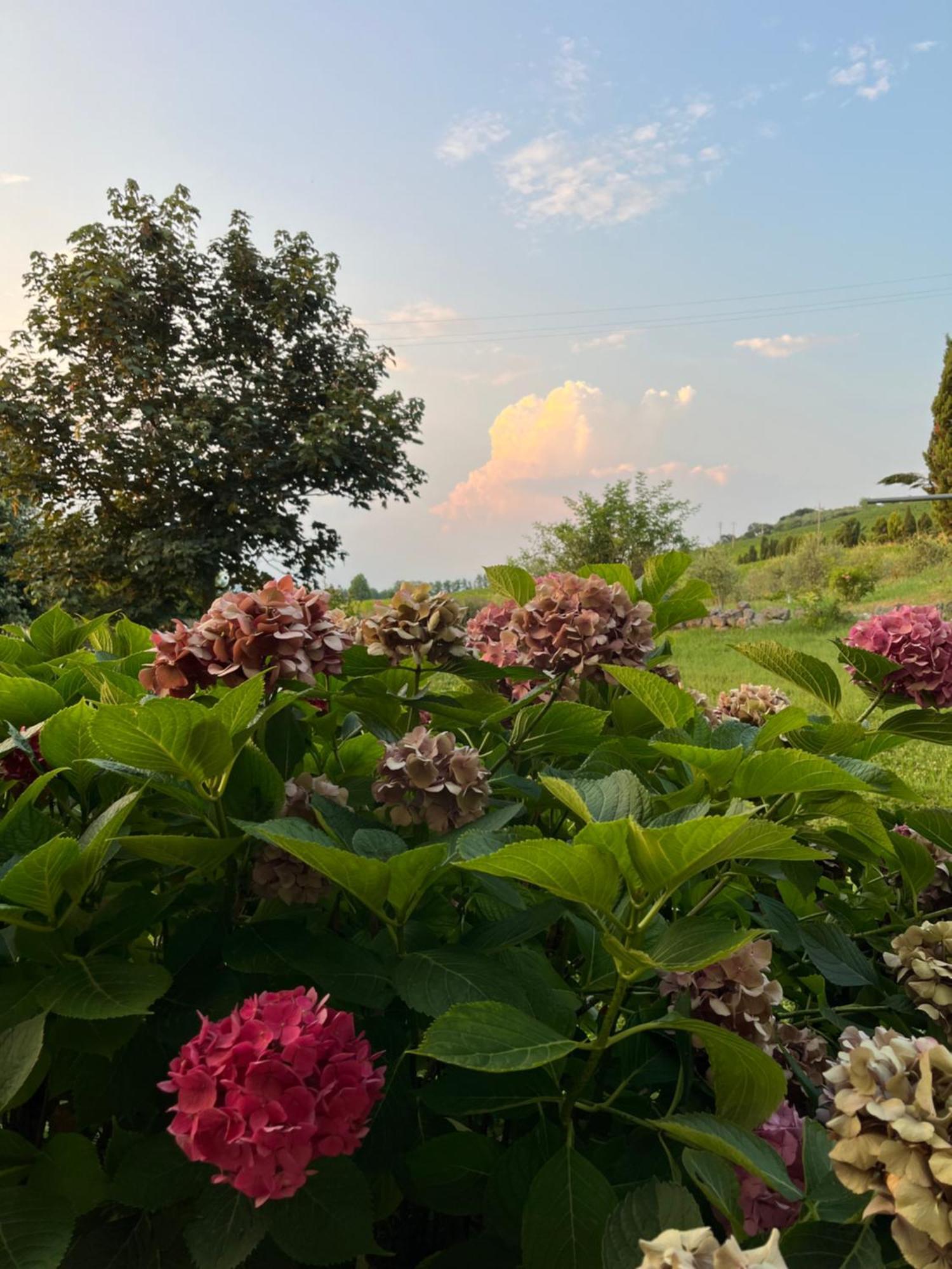 Corte Monticello Barbarano Vicentino エクステリア 写真