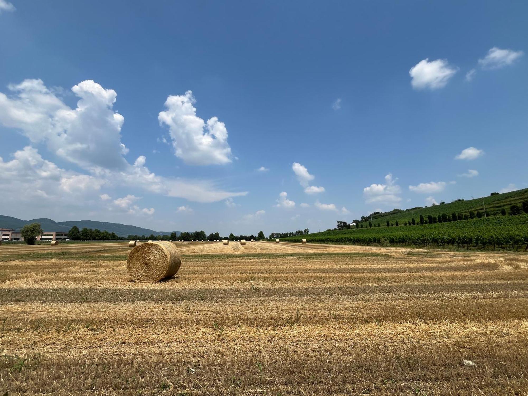 Corte Monticello Barbarano Vicentino エクステリア 写真