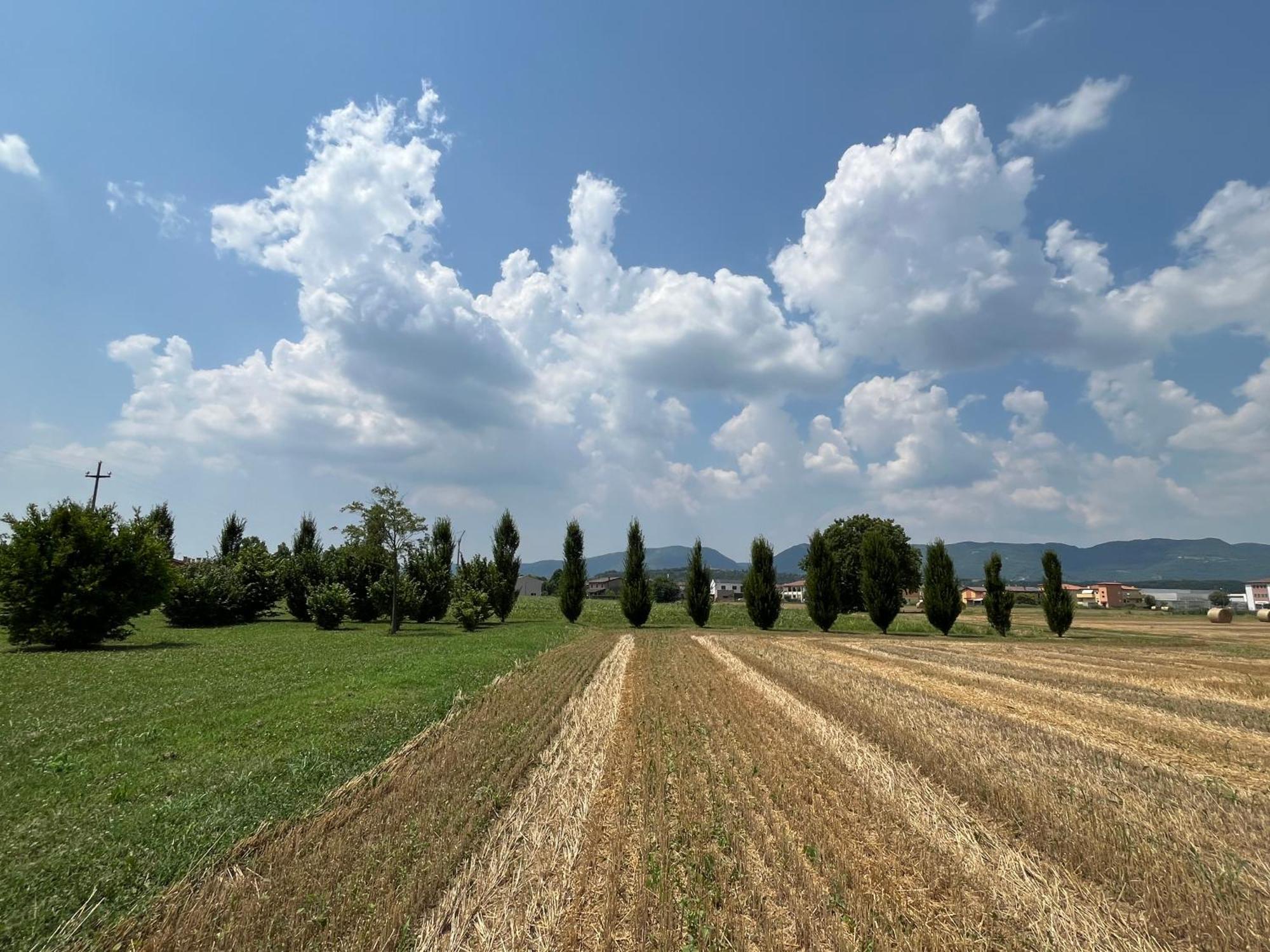 Corte Monticello Barbarano Vicentino エクステリア 写真