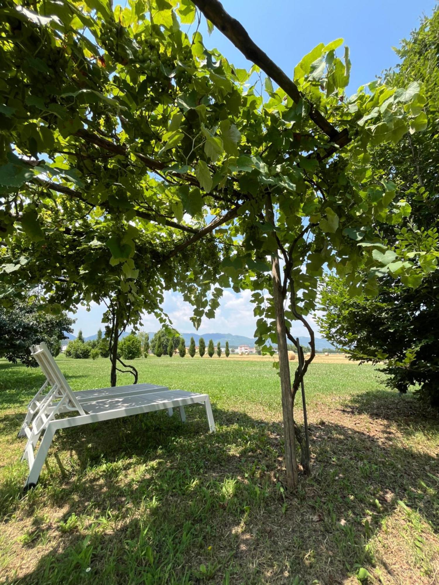 Corte Monticello Barbarano Vicentino エクステリア 写真