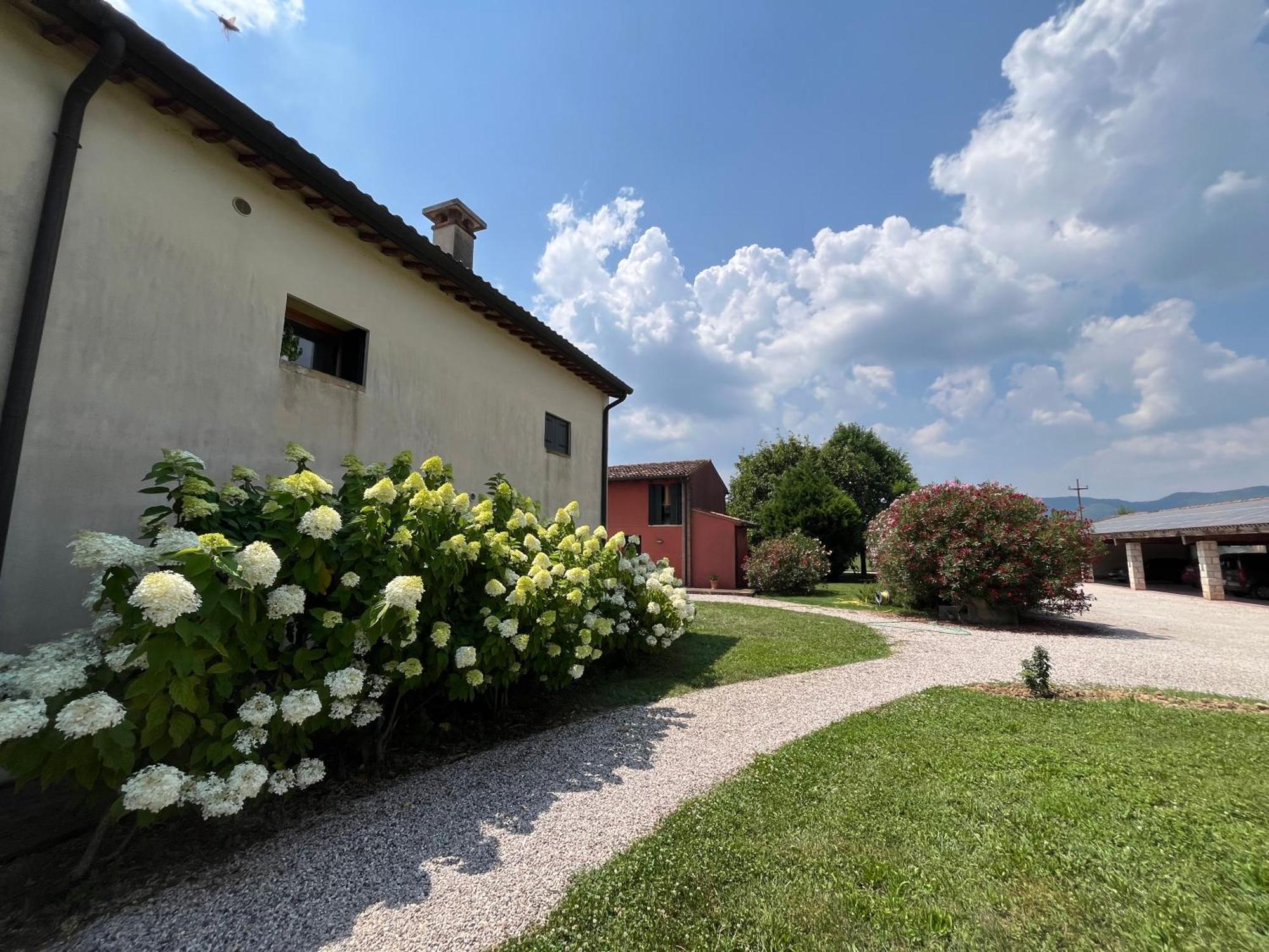 Corte Monticello Barbarano Vicentino エクステリア 写真