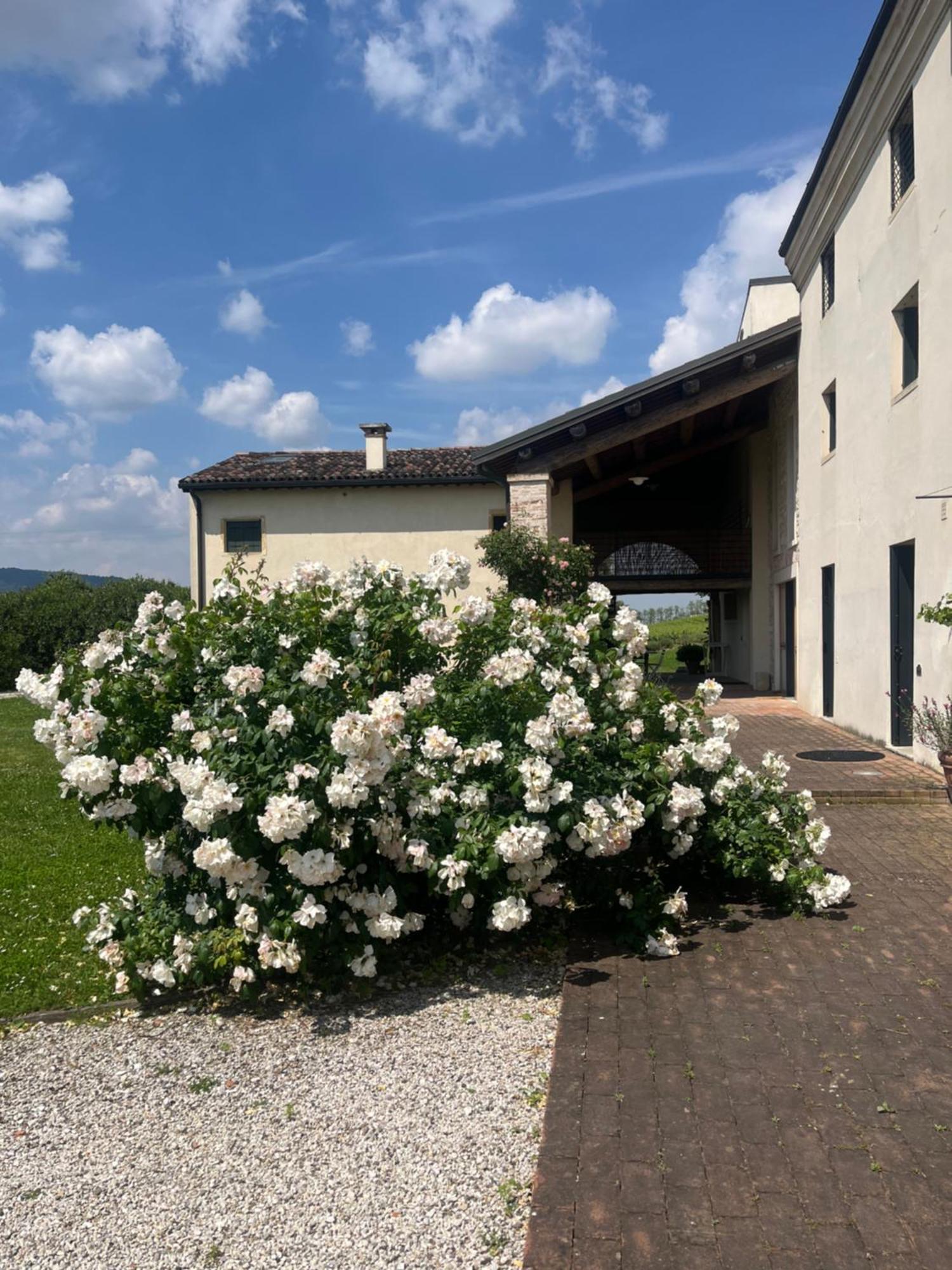 Corte Monticello Barbarano Vicentino エクステリア 写真