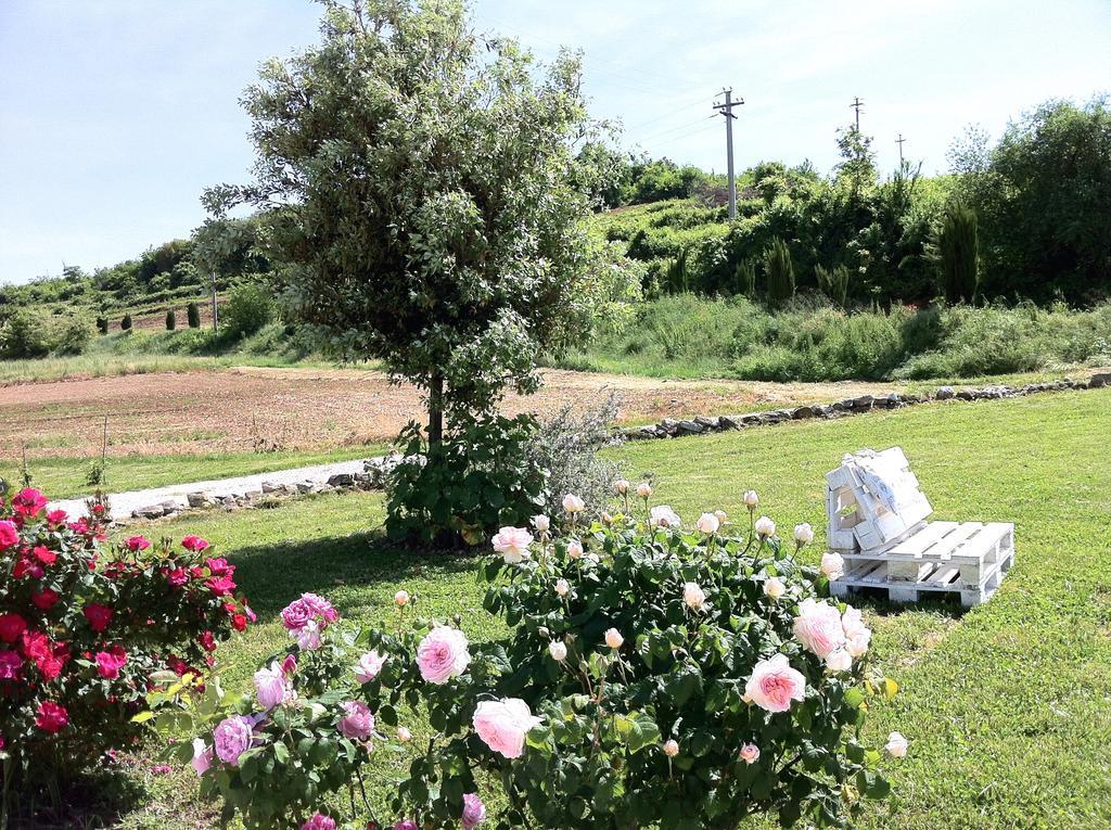 Corte Monticello Barbarano Vicentino エクステリア 写真