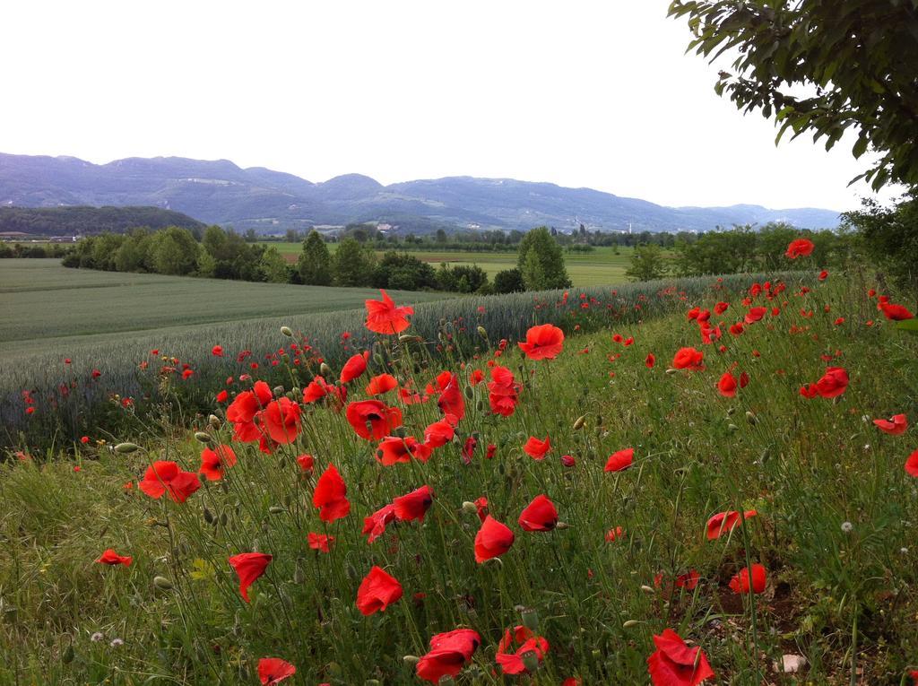 Corte Monticello Barbarano Vicentino エクステリア 写真