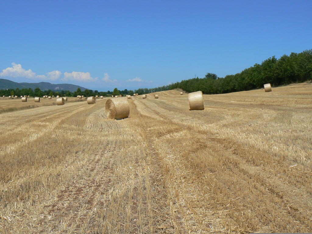 Corte Monticello Barbarano Vicentino エクステリア 写真